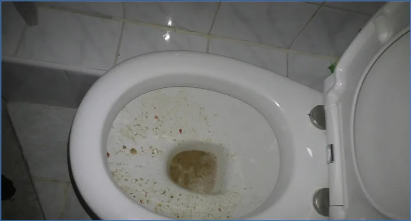 HotDirtyIvone speit literami wymiotów do miski - wideo scat na GownoHub